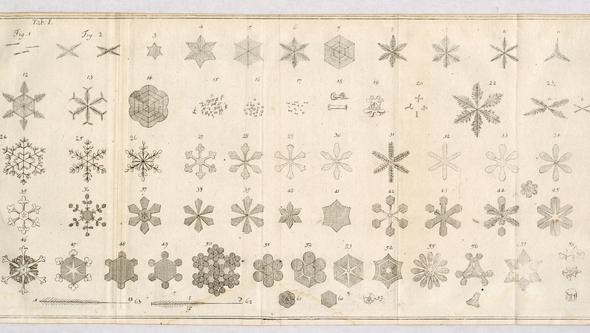 Illustrationer av snöflingor.