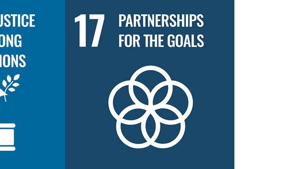 SDG 10, 16 and 17