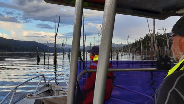 En båt på vatten där träd sticker upp från ytan.