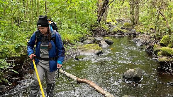 Madeleine Berry elfiskar efter havsöringar. 