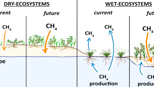 Grafik som visar metanutbytet i blöta och torrare jordar