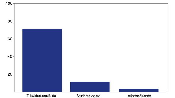 Diagram över vad alumner gör nu