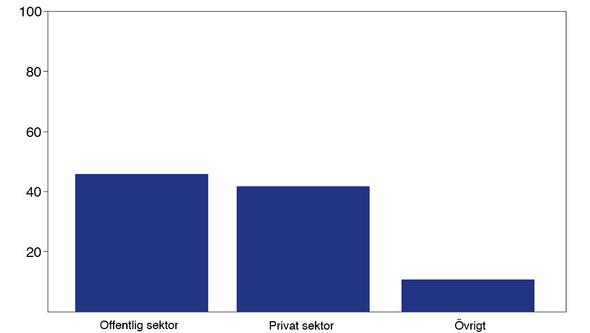 Diagram över arbetsgivare för SMIL-studenter
