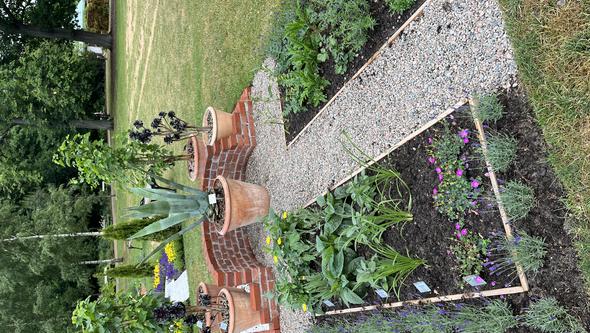 Visningsträdgård med tema botanisk trädgård, foto.