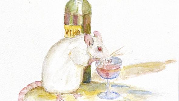 illustration from thesis cover: mouse drinking wine