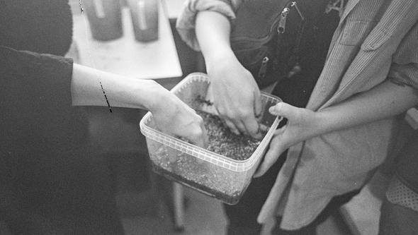 Hands digging in a bowl full with something that looks like seeds