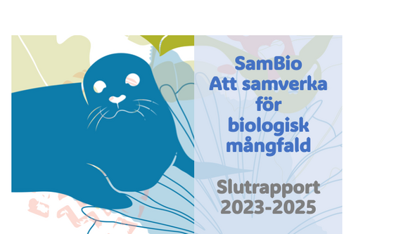 SamBio Report Title page
