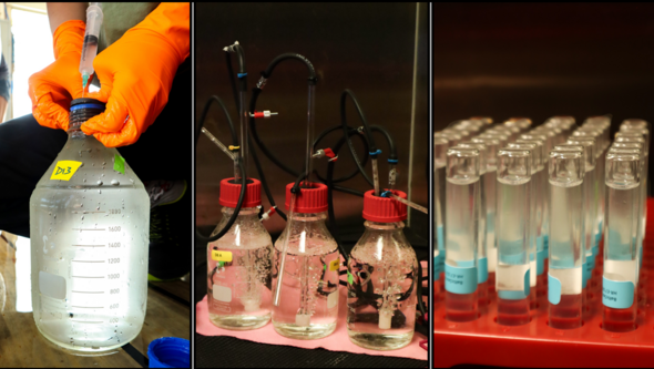 Laboratoriet