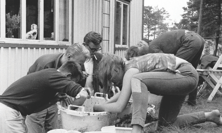 Studenter hukar runt baljor med insamlade havsdjur utomhus.