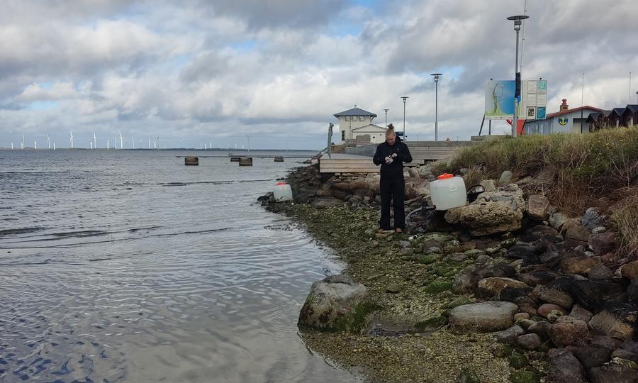 Student taking measurements on the beach 