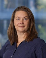 Josefin Bergenholtz