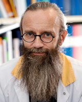 Henrik Zetterberg