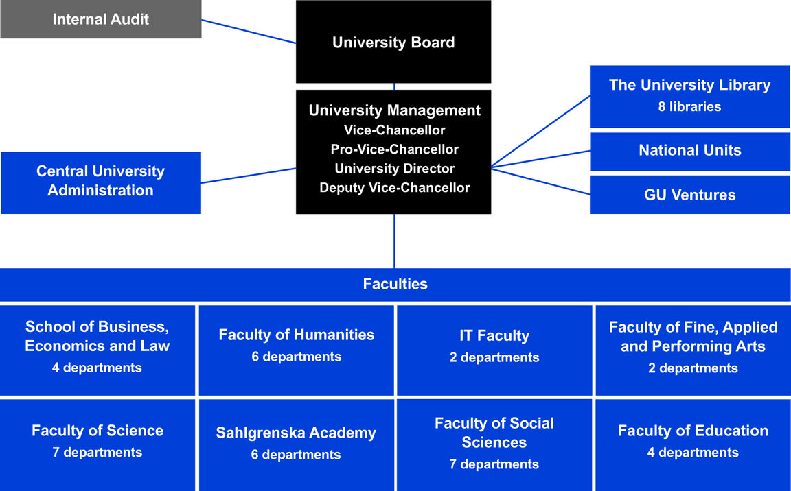 The diagram of the organisation