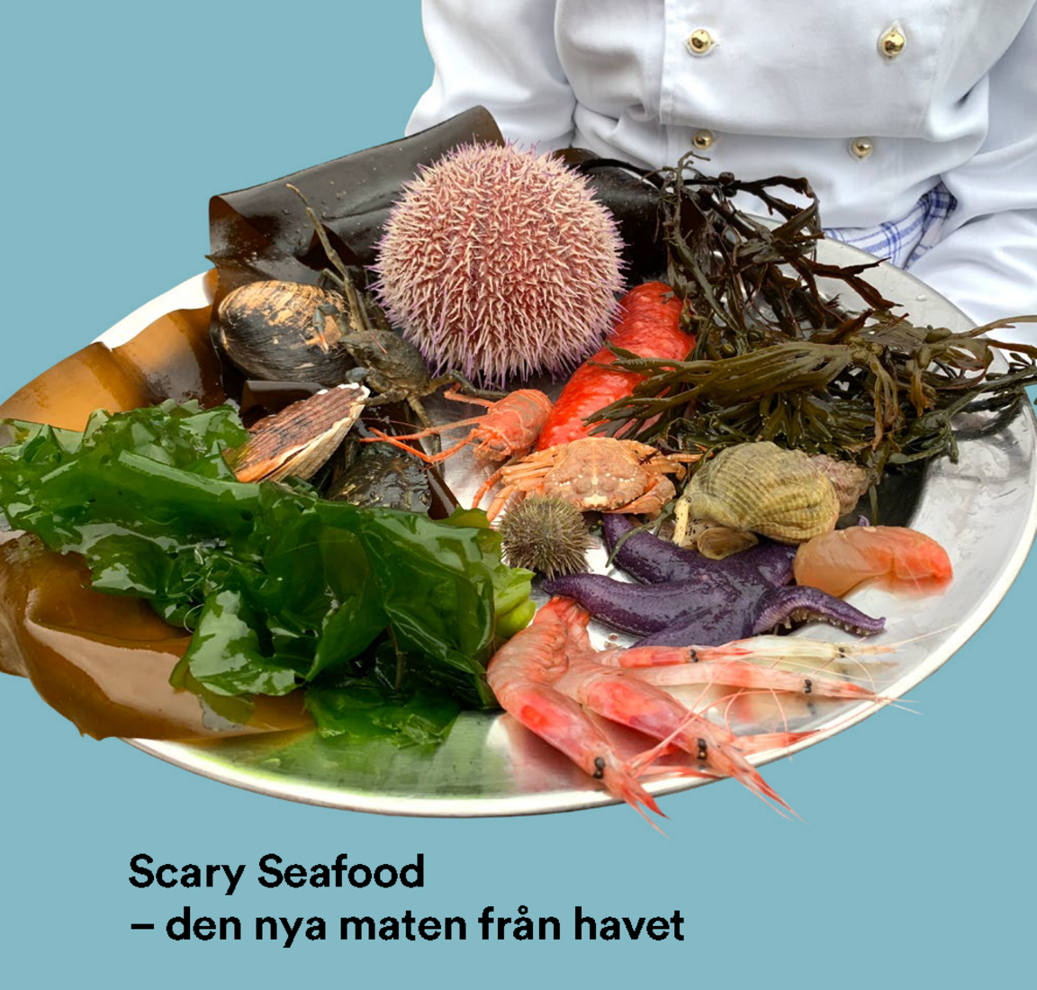 Scary Seafood rapporten