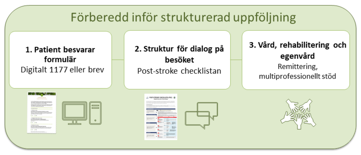 Steg 1: Patienen besvarar formulär, 2. Struktur för dialog vid besök (post-stroke checklistan), 3. Vård, rehabilitering och egenvård