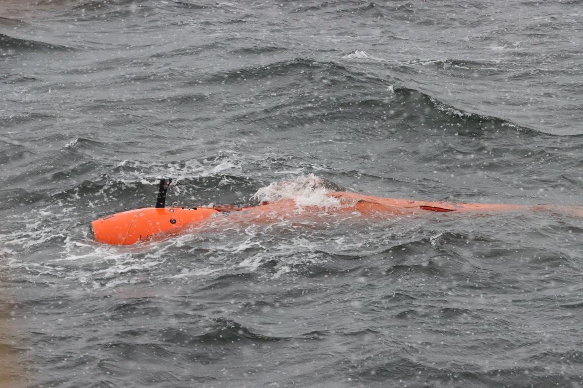 The autonomous underwater vehicle RAN.