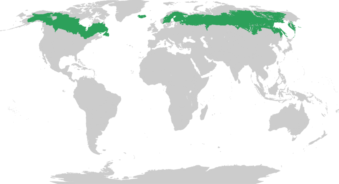Map of subarctic region.