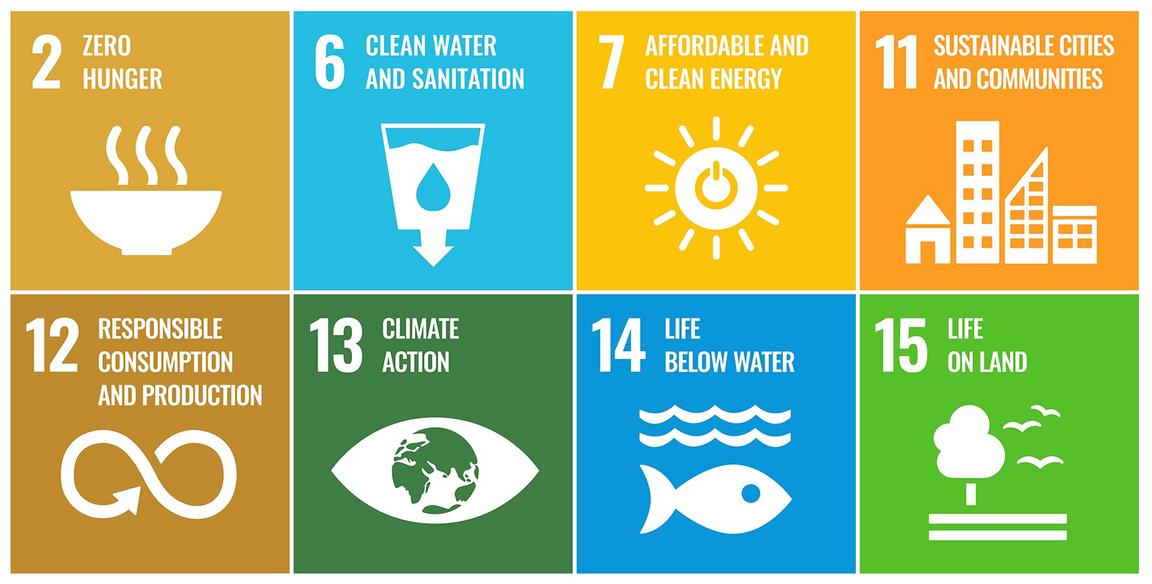 icons for the UN SDGs