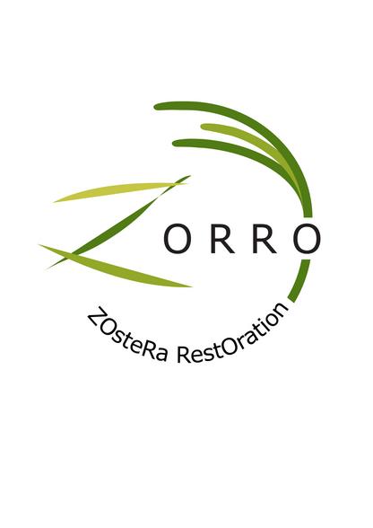 Zorro new logo