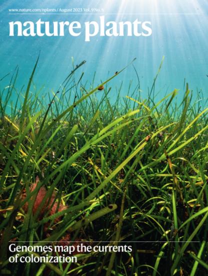 Cover of publication nature plants Vol 9, Issue 8, Aug 2023