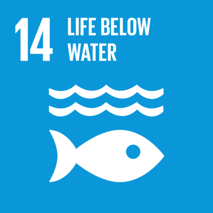 SDG 14 Illustration