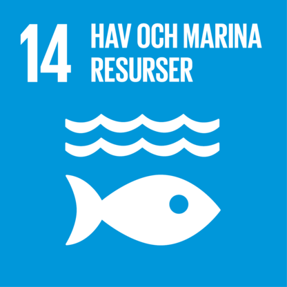 FN Globala målen. Mål 14 Hav och marina resurser