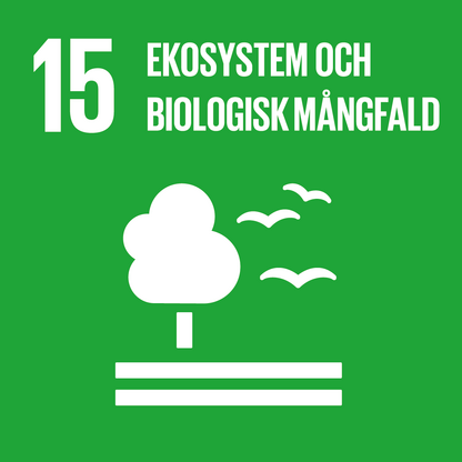 FN Globala målen. Mål 15 ekosystem och biologisk mångfald