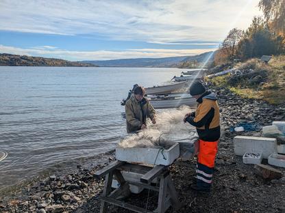 Mass och Geir Haugen går igenom näten 